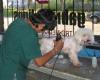 Foto de Centro Medico Veterinario Dra Maria Gabriela Lipps