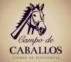 Campo de caballos